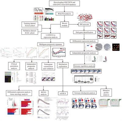 Identification of the Real Hub Gene and Construction of a Novel Prognostic Signature for Pancreatic Adenocarcinoma Based on the Weighted Gene Co-expression Network Analysis and Least Absolute Shrinkage and Selection Operator Algorithms